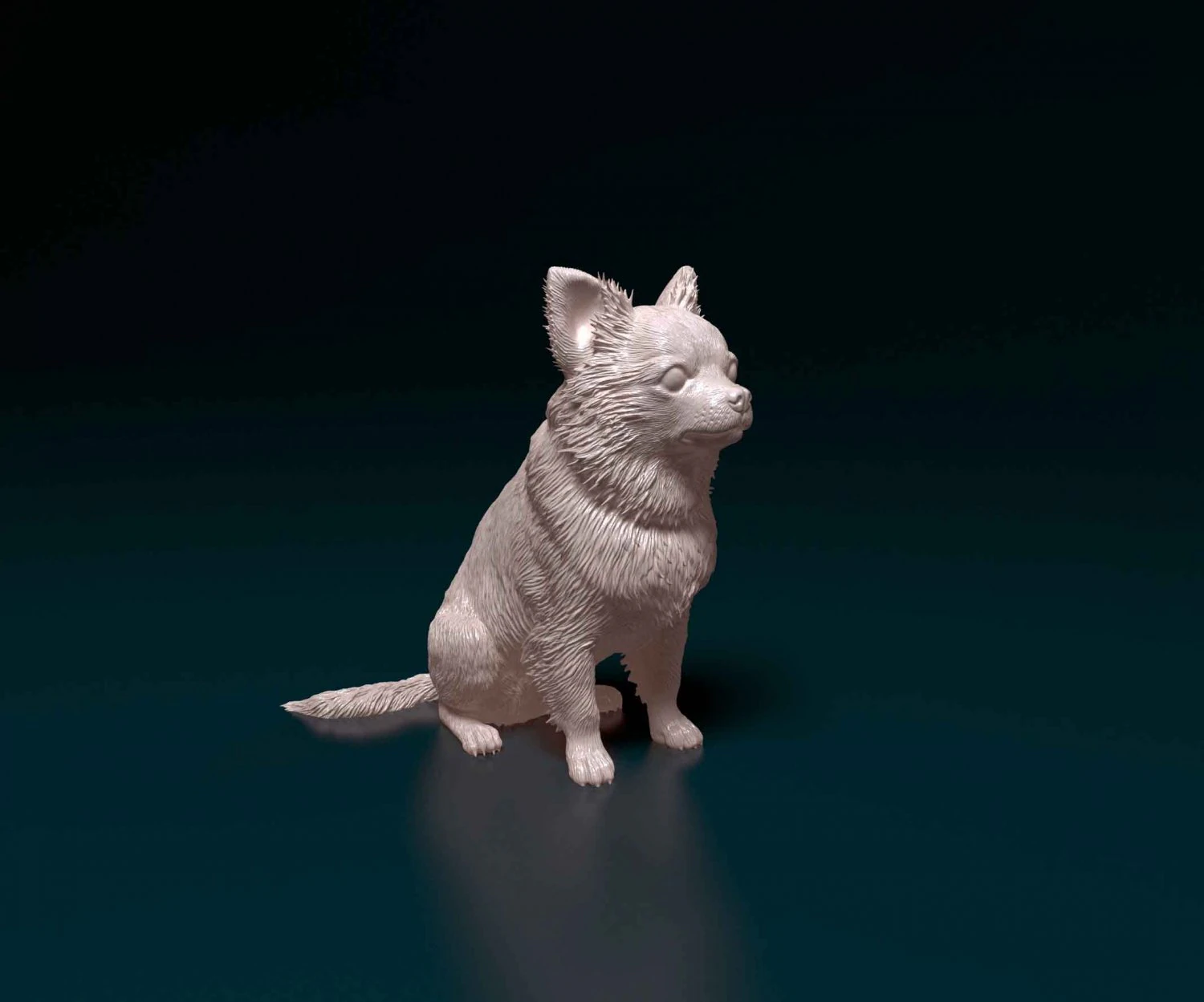 Chihuahua Long haired 3D Print Model .c4d .max .obj .3ds .fbx .stl .blend