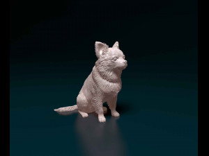 Chihuahua Long haired Modelo de impresión 3D