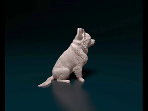 Chihuahua Long haired 3D Print Model