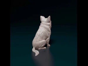 Chihuahua Long haired 3D Print Model