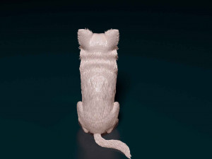 Chihuahua Long haired Modelo de impresión 3D