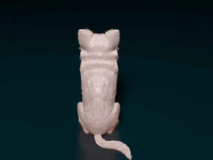 Chihuahua Long haired 3D Print Model