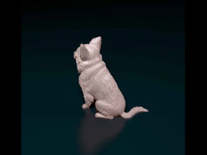 Chihuahua Long haired 3D Print Model