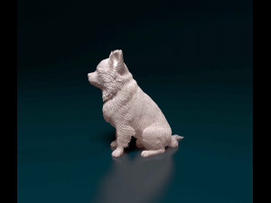 Chihuahua Long haired Modelo de impresión 3D