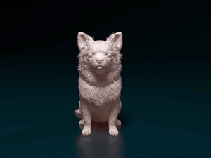 Chihuahua Long haired Modelo de impresión 3D