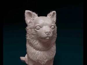 Chihuahua Long haired Modelo de impresión 3D