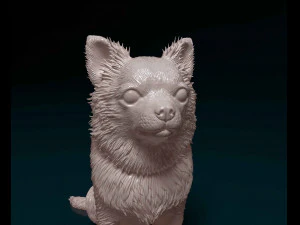 Chihuahua Long haired 3D Print Model