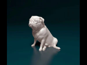 Pug dog 3 3D Print Model