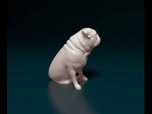 Pug dog 3 Modelo de impresión 3D