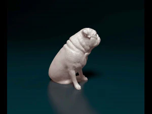 Pug dog 3 3D Print Model