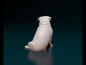 Pug dog 3 Modelo de impresión 3D