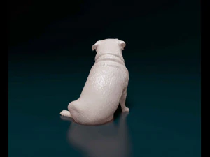 Pug dog 3 3D Print Model