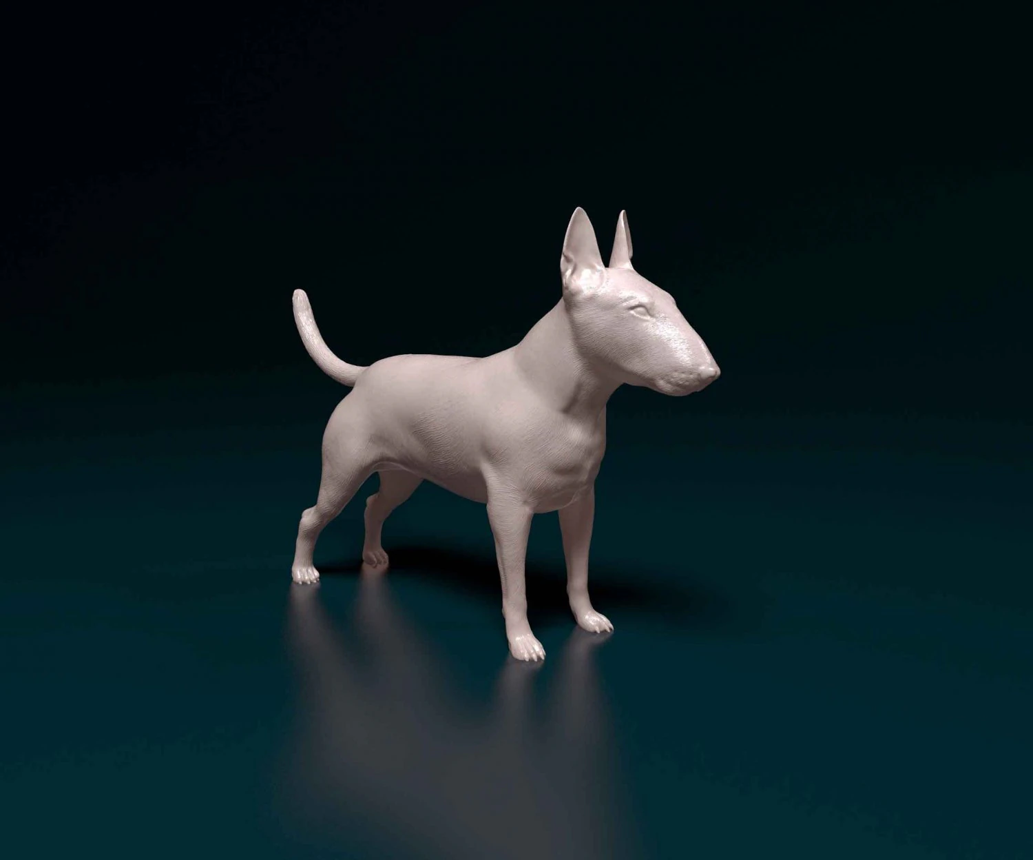 Bull terrier female 3D Print Model .c4d .max .obj .3ds .fbx .stl .blend 