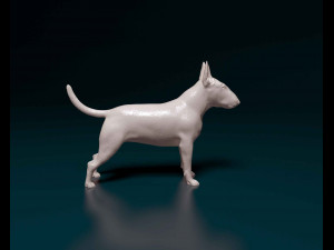 Bull terrier female Modelo de impresión 3D