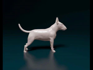 Bull terrier female 3D Print Model