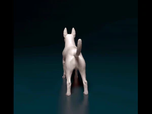 Bull terrier female 3D Print Model