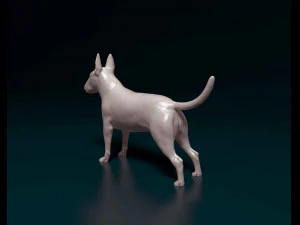 Bull terrier female 3D Print Model