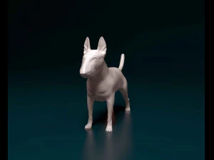 Bull terrier female 3D Print Model