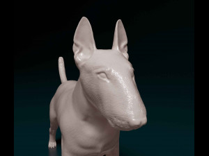 Bull terrier female Modelo de impresión 3D