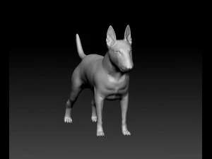 Bull terrier female 3D Print Model