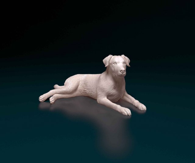 Labrador Modelo de Impressão 3D .c4d .max .obj .3ds .fbx .stl .blend 