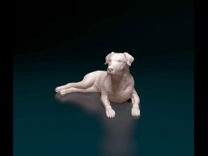 Labrador Modelo de Impressão 3D