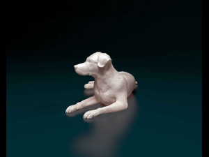 Labrador Modelo de Impressão 3D