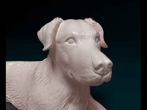 Labrador Modelo de Impressão 3D