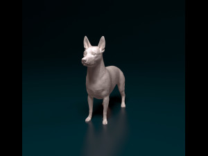Cross breed dog 2 Model Cetak 3D