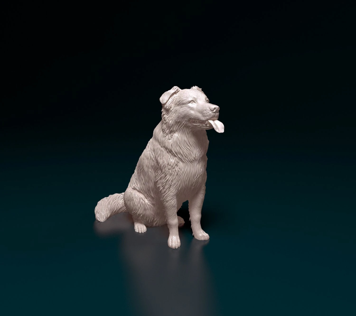 Krzyż&oacute;wka Border Collie Model do druku 3D .c4d .max .obj .3ds .fbx .stl .blend 