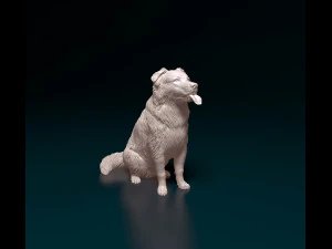 Border Collie cross 3D Print Model