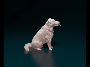 Krzyż&oacute;wka Border Collie Model do druku 3D