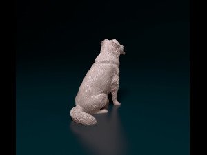 Border Collie cross 3Dプリントモデル