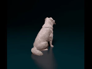 Krzyż&oacute;wka Border Collie Model do druku 3D