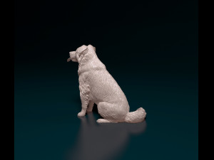 Border Collie cross 3Dプリントモデル