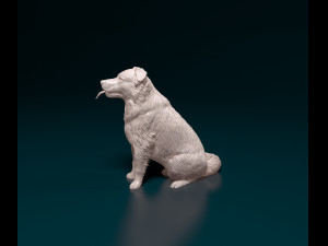 Border Collie cross 3Dプリントモデル