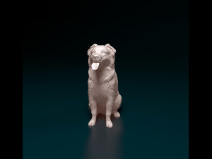 Border Collie cross 3Dプリントモデル