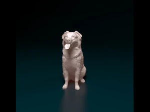 Krzyż&oacute;wka Border Collie Model do druku 3D