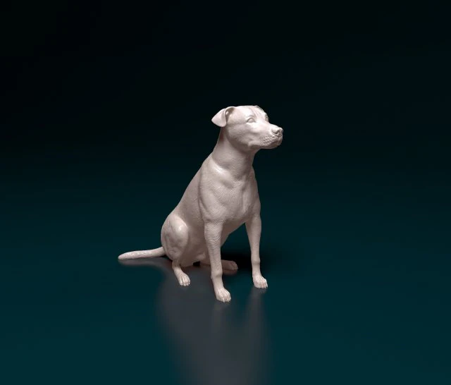 Cão de raça cruzada 3 Modelo de Impressão 3D .c4d .max .obj .3ds .fbx .stl .blend