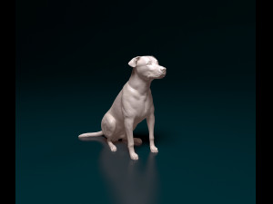 Cross breed dog 3 3D प्रिंट मॉडल
