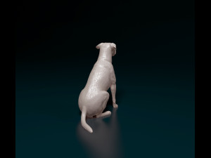 Cross breed dog 3 Model Cetak 3D