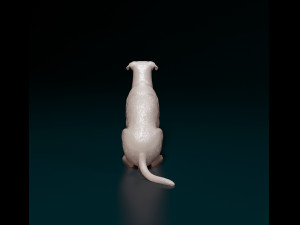 Cross breed dog 3 Model Cetak 3D