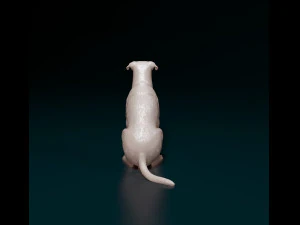 C&atilde;o de ra&ccedil;a cruzada 3 Modelo de Impressão 3D