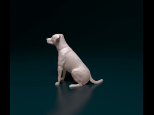 Cross breed dog 3 Model Cetak 3D
