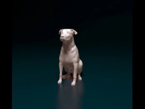 C&atilde;o de ra&ccedil;a cruzada 3 Modelo de Impressão 3D