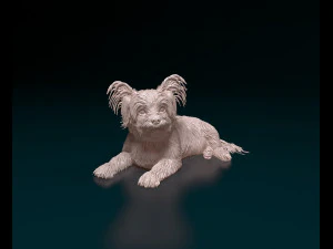 Yorkshire terrier dog 3D Print Model