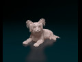Yorkshire terrier dog 3D प्रिंट मॉडल