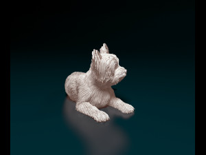 Yorkshire terrier dog 3D Print Model
