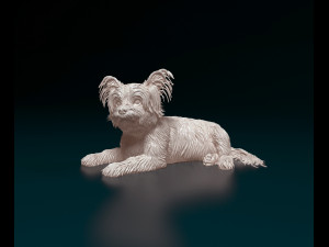 Yorkshire terrier dog 3D Print Model