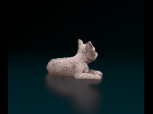 Yorkshire terrier dog 3D Print Model